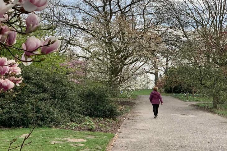 Prečo je 10 000 krokov len pekné číslo: čo v skutočnosti veda hovorí o našej dennej norme