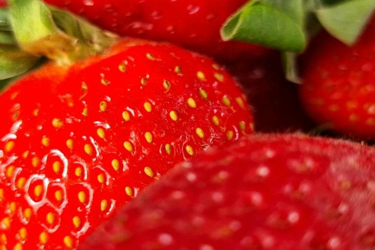 Prečo strihať kvety mladých jahôd: krutá aritmetika budúcej úrody